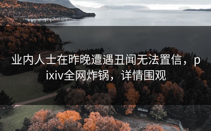 业内人士在昨晚遭遇丑闻无法置信，pixiv全网炸锅，详情围观