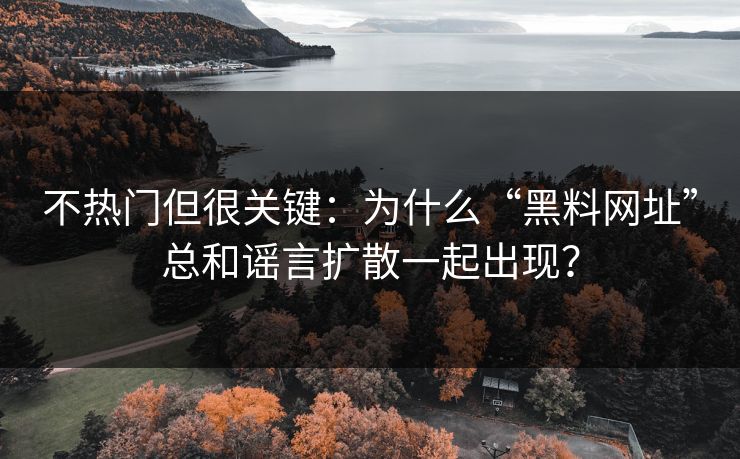 不热门但很关键：为什么“黑料网址”总和谣言扩散一起出现？