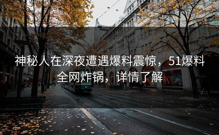 神秘人在深夜遭遇爆料震惊，51爆料全网炸锅，详情了解