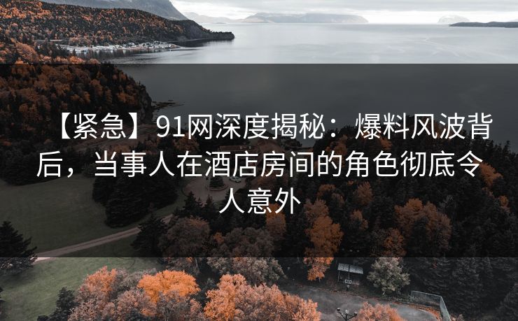 【紧急】91网深度揭秘：爆料风波背后，当事人在酒店房间的角色彻底令人意外